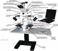 XZB-8F比较显微镜